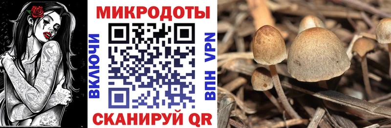 Псилоцибиновые грибы прущие грибы наркотики Анива